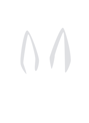 Escorts